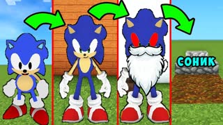 КАК МЕНЯЛСЯ СОНИК И ЕГО ЖИЗНЕННЫЙ ЦИКЛ В МАЙНКРАФТ ~ ЭВОЛЮЦИЯ СОНИКА В MINECRAFT SONIC