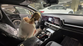 САМЫЙ ТОПОВЫЙ КИА СПОРТЕЙДЖ +7 (909) 999-08-70